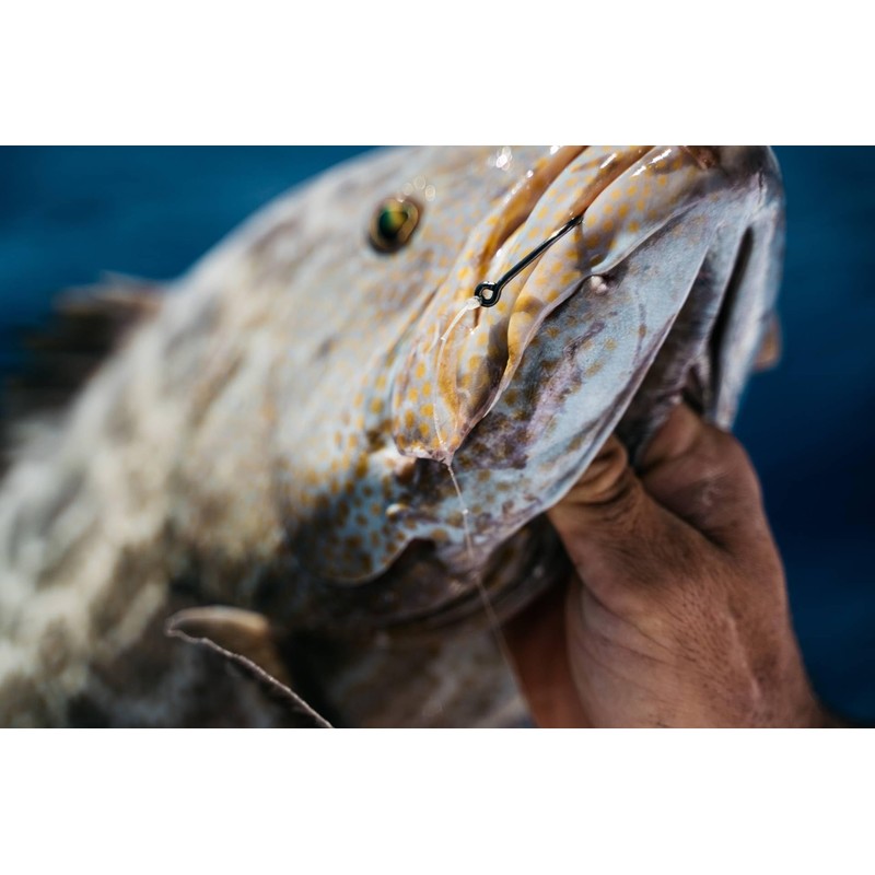 Demon Circle Hook, in Line, Wide Gap, 6/0