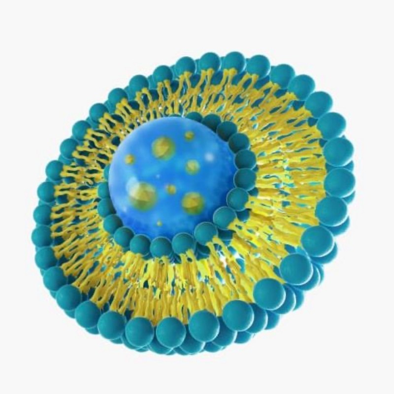 Liposm Glutathione Liposome Effectiveness Glutathione Purity 90% 1 Month Supply