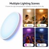 HomeKit Smart LED Ceiling Lights RGBCW Color Changing Ceiling Light