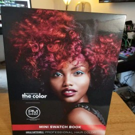 PAUL MITCHELL The Color MINI Swatch Book NEW SEALED
