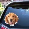 Golden Retriever Sticker, 3D Breakthrough Effect, Reflective, Waterproof, Funny Decoration