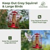 Kingsyard Caged Bird Feeder for Outdoor Hanging - Upgraded Metal