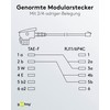 Wentronic TAE Connection Cable TAE-F Male to Western Male 15