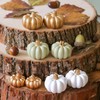 Kate Aspen 12pcs Fall Decor Green Pumpkin Place Card Holder,
