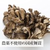 自然健康社 まいたけ粉末 100g パウダー 舞茸茶 無添加 国産