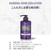 KUNDAL H&M Hair Treatment, 16.9 fl oz (500 ml)