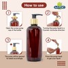 MYOC Amber PET golden cap pump bottle Refillable Empty Container