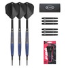 TEAM PRO Series PAUL LIM BRASS 17G 2BA Brass Darts