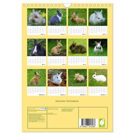 Kaninchen Terminplaner (Wandkalender 2025 DIN A4 hoch), CALVENDO Monatskalender [Calendar] CALVENDO and Kattobello, Kattobello