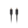 Lanberg 3.1 GEN 2 Male/Male 10GB/S PD100W 6ft Black