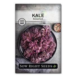 Sow Right Seeds - Scarlet Kale Seeds for Planting - Non-GMO Heirloom Packet with Instructions to Plant & Grow an Outdoor Home Vegetable Garden - Curly Kale - Homegrown Superfood - Make Kale Chips (1)