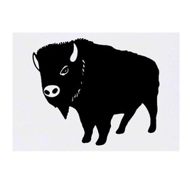 'Bison' Temporary Tattoo - Water Resistant, Skin-Safe, Non-Toxic Transfer (TO00029244)