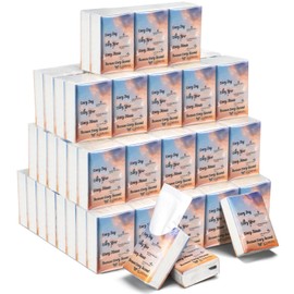 Therwen 100 Pack Pocket Tissues Travel Packs Bulk 1000 Sheet Mini Tissues Bulk 3 Ply Small Travel Size Paper Individual Pocket Size (Bible)