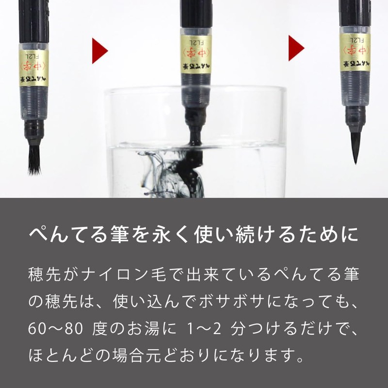 Pentel XFL3L (10) Pen Pentel Brush Ink Ink 10 Pens