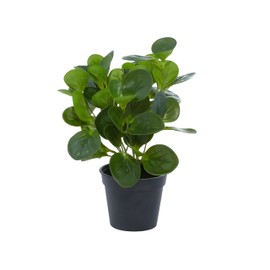 Deco 79 Faux Foliage Eucalyptus Artificial Plant Indoor Outdoor with Realistic Leaves and Black Round Pot, 10" x 7" x 13", Green