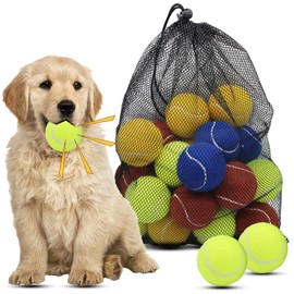 Magicorange Dog Tennis Balls, 20 Pack 2.5 inch Floatable Squeaky Tennis Balls for Fetch Exercise, Natural Rubber Squeaky Dog Balls Training Safe (Multicolor, 2.5inch)
