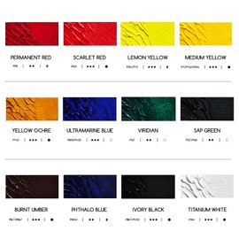 MEEDEN Artist Oil Paint Set - 12 Colors x 170ml/5.7oz Tubes - Art Supplies for Canvas Painting