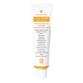 Blooming Cell Cica Cream 60ml Skin Elasticity Pore Care Sebum Control / 블루밍셀 시카 크림 60ml 피부탄력 모공케어 피지조절