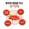 Domestic fermented Cheongyang goji berry powder 500g / 국산 발효