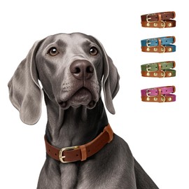MIDOG Two-Tone Genuine Leather Dog Collar - Soft & Durable, Adjustable Rust-Proof Metal Buckle, Suitable for Small, Medium, and Large Dogs (Brown, XS: 0.6" Wide for 10"-13" Neck)