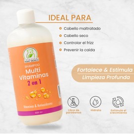 Productos Mart Mexico Shampoo 2 En 1 Vitaminas & Antioxidantes Productos Mart Mexico 500 Ml