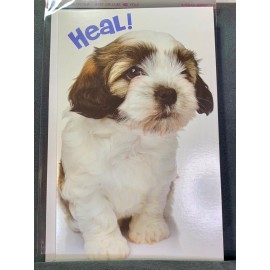 Unbranded Get Well Soon Greeting Card. Shih Tzu Puppy says Heal!