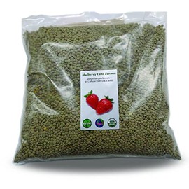 Green Lentils 5 Pounds Whole USDA Certified Organic, Non-GMO, Bulk, Product of USA, Mulberry Lane Farms
