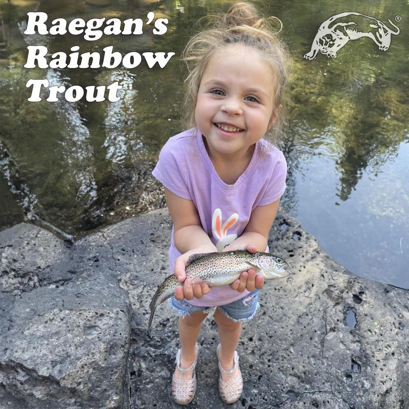 Panther Martin PMCB_2_CBK Classic Regular Teardrop Spinners Fishing Lure -