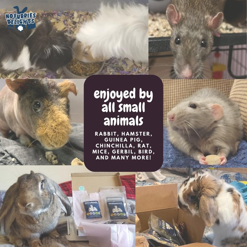 No Furries Delights 100% Organic & All Natural Treat for