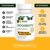 Probióticos para la Mente Natural Stacks 30 Cápsulas