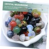IWOWHERO Set of 20 Small Mushroom Ornaments Crystal Mini Mushrooms