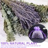 120 PCS Dried Eucalyptus Stems & Lavender Flowers Bundle for