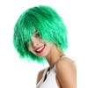 Wig Me Up MMSLW-K3070 Unisex Carnival Clown Wig / Shaggy,