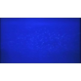 NOVSIGHT LED Headlight Bulb H11 H8 H9 6500K 30000LM 140W Canbus Error Free Hi/Lo