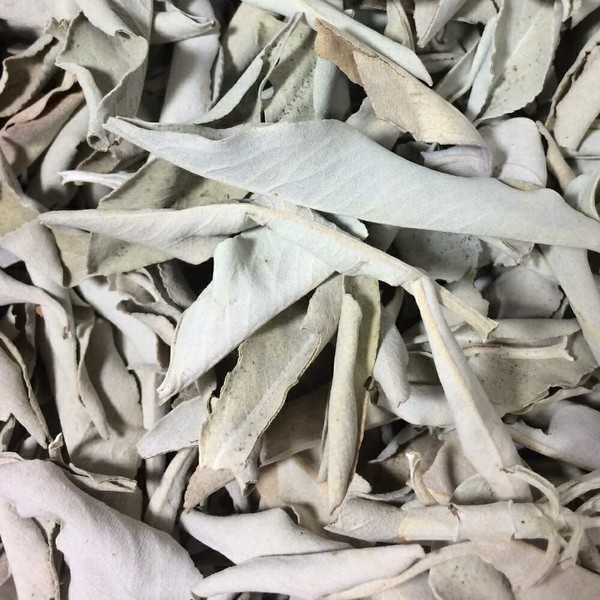 Beaut Purifying White Sage, B Product, Outlet Pesticide-free, California Leaf Type, 1.8 oz (50 g)