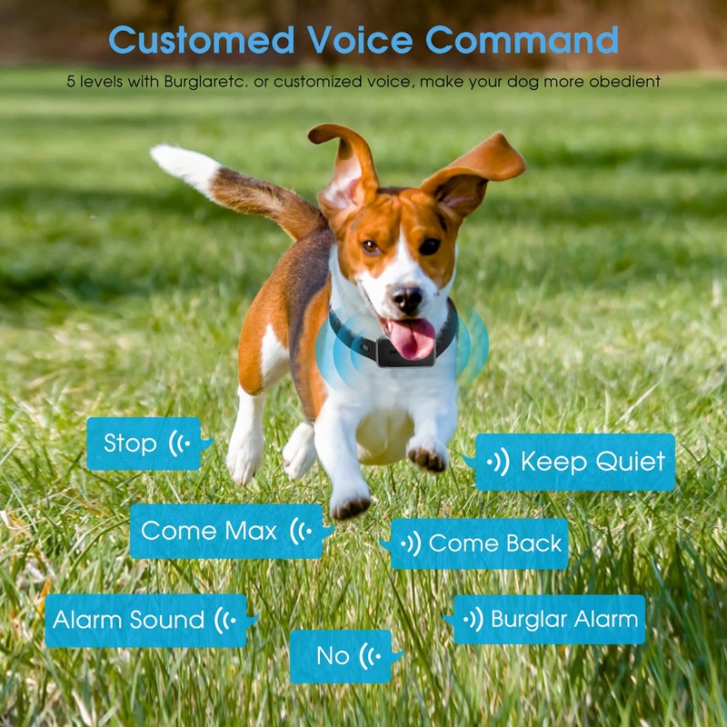 Dr.Trainer T1sPro Bark Collar with Remote, Rechargeable Dog Training Collar