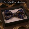 WOXVM Men's Bow Ties Pre-Tied Bow Tie Vintage Paisley Bowtie