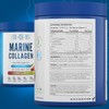 Applied Nutrition Marine Collagen Powder - Hydrolysed Collagen Protein, Healthy