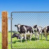 Insaga J Bolt Gate Hinge, 304 Stainless Steel Farm Gate