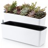 Skelang 2-Pack Self Watering Planter, Rectangle Flower Pot with Water