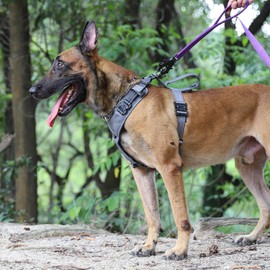 ICEFANG Dog Strap Harness with 4 x Metal Buckles,for Medium Sized Dog,K9 Vest,Y-Shape Chest,Adjustable Pet Harness,No-Pull Front Leash Clip (Medium (Pack of 1), Grey)