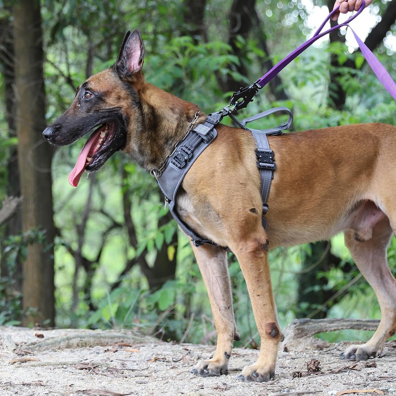 ICEFANG Dog Strap Harness with 4 x Metal Buckles,for Medium
