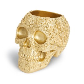 BOIHEGU Skull Bowl Decorative Skull Vase Makeup Brush Pen Holder Organizer Dresser Gothic Table Organizer Decoration, Gold Skull Pot Enthusiasts Gifts