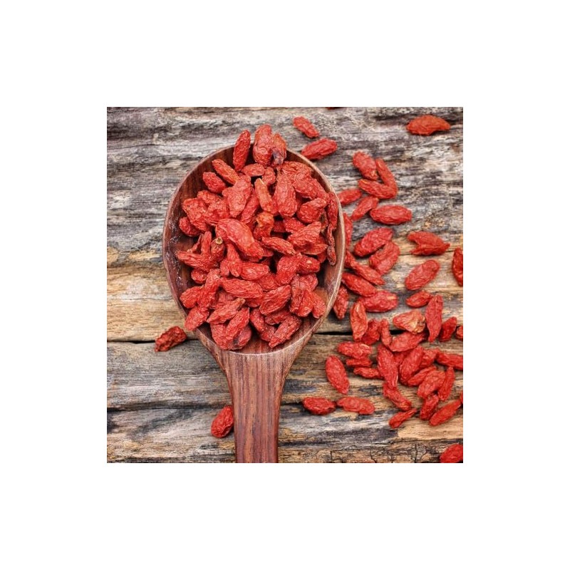 Eden Brothers Goji Berry Seeds