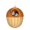 HardcorePet Sugar Glider Hammock, Acorn Shaped Bird Bed with Supporting