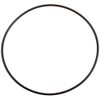 Zodiac Genuine Parts LM3 Cell O-Ring, W150181
