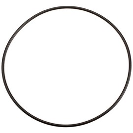 Zodiac Genuine Parts LM3 Cell O-Ring, W150181