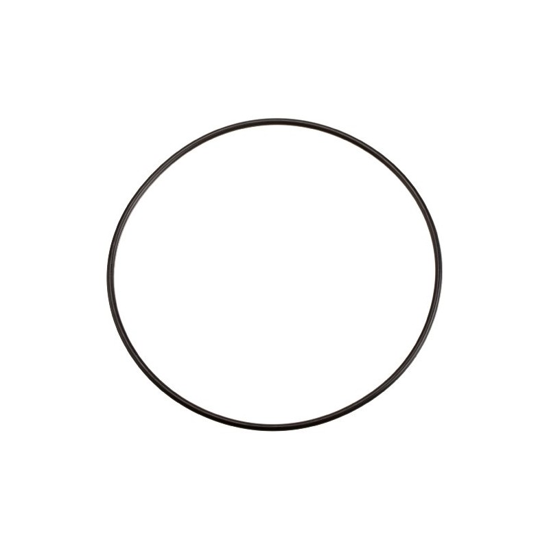 Zodiac Genuine Parts LM3 Cell O-Ring, W150181