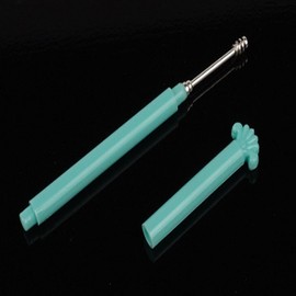 Luxury Silver Ear Pick Stainless Steel Portable Hygiene Toiletries Ear Cleaning 2ea