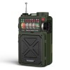 Raddy RE40 Shortwave Radio | FM/AM/SW/WB | 4000mAh | Bluetooth